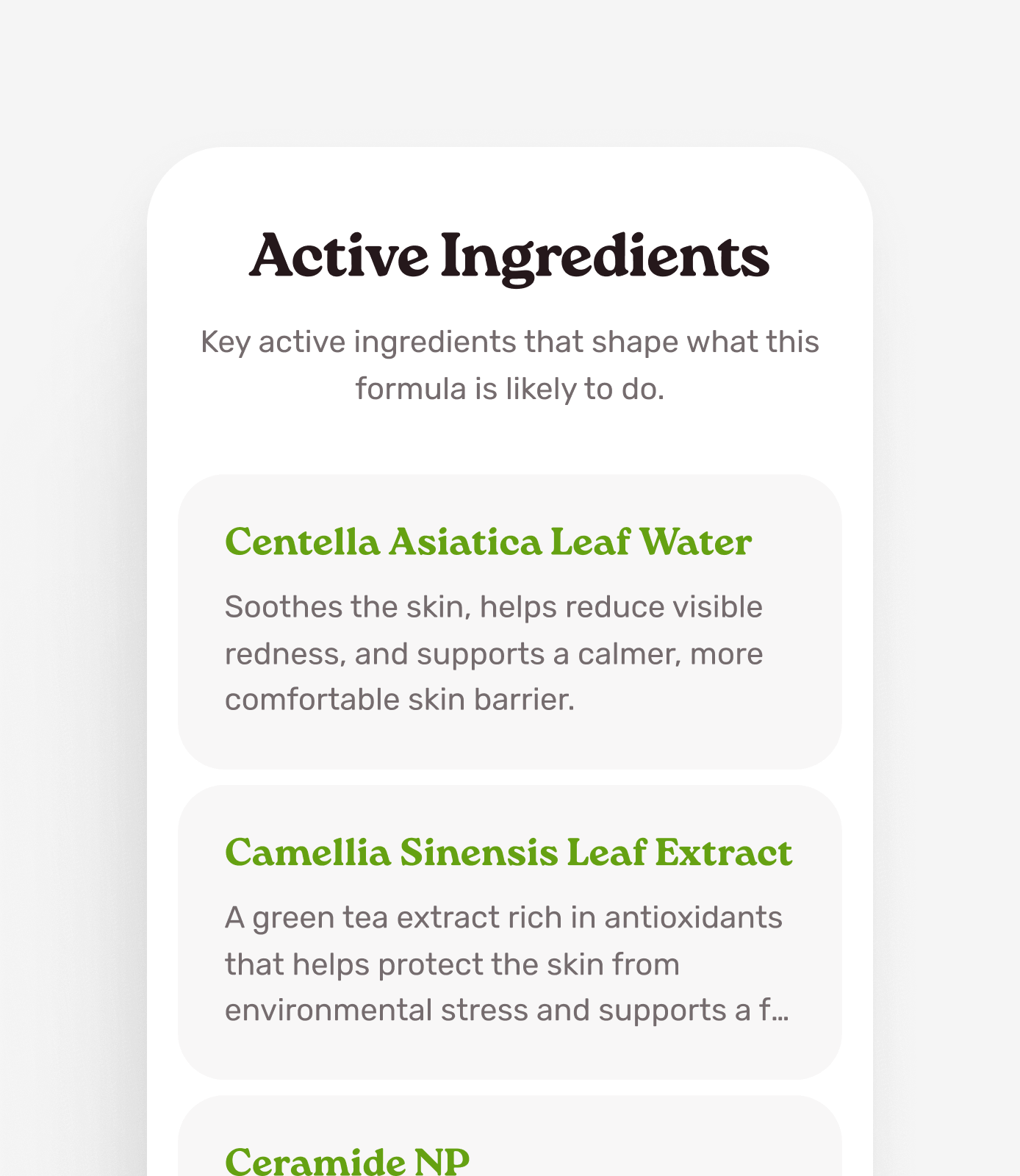 Active ingredients bottom sheet